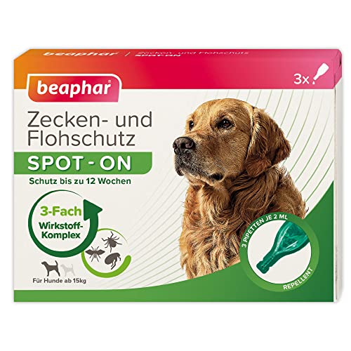 BEAPHAR - Zecken- Und Flohschutz SPOT-ON Für Hunde Über 15kg - Repellent Gegen Flöhe, Zecken Und Mücken - Sofortige Wirkung - Schützt Bis Zu 12 Wochen - 3 Pipetten Je 2ml von Beaphar