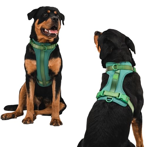 BearBone verstellbares Hundegeschirr mit Griff, kein Ziehen, Hundegeschirr mit Frontclip, bestes Hundegeschirr für Spaziergänge und Training, großes Hundegeschirr, Grünes Hundegeschirr BearBone verstellbares Hundegeschirr mit Griff, kein Ziehen, Hundegeschirr mit Frontclip, bestes Hundegeschirr für Spaziergänge und Training, großes Hundegeschirr, Grünes Hundegeschirr von BearBone