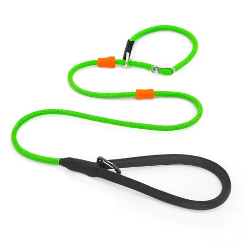 BeauGo Hundeleine, 2-in-1 Schlupfhalsband, Trainingsleine und Halsband, robustes Seil, kein Ziehen, geeignet für kleine, mittelgroße und große Hunde, 1,8 m, Grün 7,8 cm BeauGo Hundeleine, 2-in-1 Schlupfhalsband, Trainingsleine und Halsband, robustes Seil, kein Ziehen, geeignet für kleine, mittelgroße und große Hunde, 1,8 m, Grün 7,8 cm von BeauGo