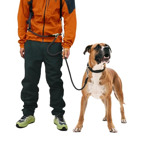 Freihändige Hundeleine, multifunktionale Hundeleine, Taillenleine für Spaziergänge mit dem Hund, verstellbare Umhängetasche, Hundetrainingsleine, Nylon, Doppelleinen für kleine, mittelgroße und große Freihändige Hundeleine, multifunktionale Hundeleine, Taillenleine für Spaziergänge mit dem Hund, verstellbare Umhängetasche, Hundetrainingsleine, Nylon, Doppelleinen für kleine, mittelgroße und große von BeauGo