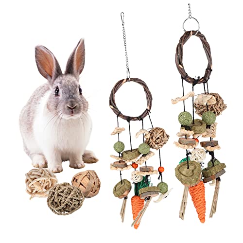 Beaupretty Hängendes Kauspielzeug-Set 2 Kauspielzeuge Natürliches Kauspielzeug Für Meerschweinchen Hamster Dekoratives Käfigzubehör von Beaupretty