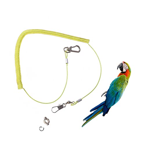 Beaupretty Papageienleine Trainingsseil 10 M Vogel Mit Elastischer Schnur Perfekt Für Das Flugtraining Von Papageien Vogel von Beaupretty