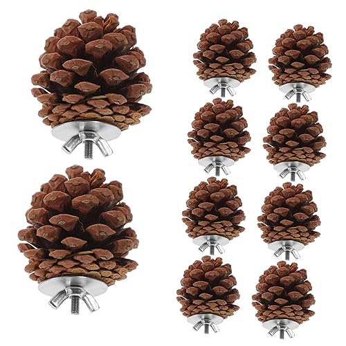 Beaupretty Papageienkäfig-Spielzeug Vogel-kauspielzeug Hängepackung Tannenzapfen Und Holzspielzeug Für Papageien Sittiche Beaupretty Papageienkäfig-Spielzeug Vogel-kauspielzeug Hängepackung Tannenzapfen Und Holzspielzeug Für Papageien Sittiche von Beaupretty