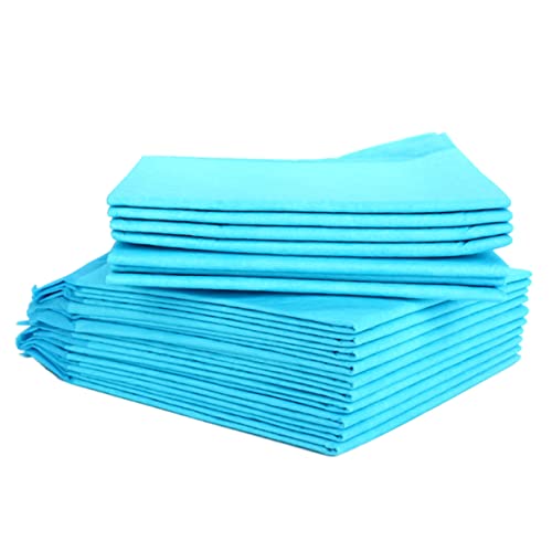 Beaupretty 10st Kleine Tierpee-Pads Katzen-urin-pad Hund Toilettenmatte Kaninchen-trainingspads Katzentraining Hamster-PIPI-Pads Einweg-PIPI-Pads Für Haustiere Kaninchen-PIPI-Pads Welpen Hase Beaupretty 10st Kleine Tierpee-Pads Katzen-urin-pad Hund Toilettenmatte Kaninchen-trainingspads Katzentraining Hamster-PIPI-Pads Einweg-PIPI-Pads Für Haustiere Kaninchen-PIPI-Pads Welpen Hase von Beaupretty