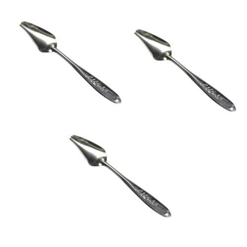 Beaupretty 12stücke Fütterlöffel Für Papageien Leckagefreies Design Langlebig Und Leicht Für Kleine Und Mittelgroße Vögel Handfütterung Von Haustieren von Beaupretty