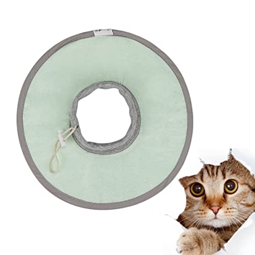 Beaupretty 1 Stück Leichtes Atmungsaktives Elisabethanisches Katzenhalsband Bequemes Halsband Kratzfestes Elisabethanisches Haustierhalsband Für Die Katzenchirurgie Beaupretty 1 Stück Leichtes Atmungsaktives Elisabethanisches Katzenhalsband Bequemes Halsband Kratzfestes Elisabethanisches Haustierhalsband Für Die Katzenchirurgie von Beaupretty