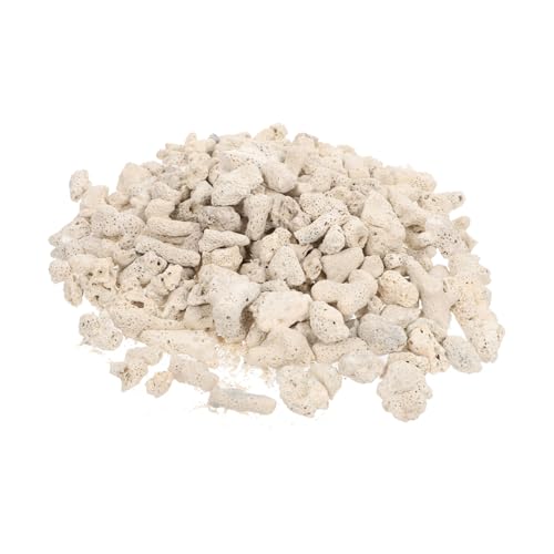 Beaupretty 2 Packungen Korallenstein Korallenblock Pflanze Aus Vulkangestein Aquarienkiesel Topfpflanzengestein Im Aquarium Vulkanischer Kies Korallendekor Felsen Weiß Kopfsteinpflaster Beaupretty 2 Packungen Korallenstein Korallenblock Pflanze Aus Vulkangestein Aquarienkiesel Topfpflanzengestein Im Aquarium Vulkanischer Kies Korallendekor Felsen Weiß Kopfsteinpflaster von Beaupretty