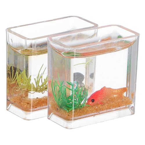 Beaupretty 2 Stück Maßstab Resin Fischglas Deko Kleine Goldfischschale für Puppenhaus Mini Fischbecken Ornament für Feengarten Tischdekoration von Beaupretty