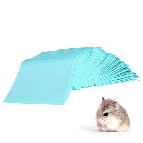 Beaupretty 20st Hamster-PIPI-Pads PIPI-Pads Für Hunde Trainingspads Für Hunde Kleine Tierpee-Pads Welpen-Pads Haustier-trainingspads Einbruchszubehör Für Hunde Hund PIPI Pad Hase von Beaupretty