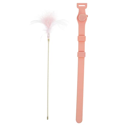 Beaupretty 2st Katzen-Teaser Lindert Langeweile Stick Draht Für Katzenspielzeug Lustiger Katzenstock Kätzchen-Teaser-Stick Katzenbedarf Katzenhalsband Personalisiert Feder Kieselgel von Beaupretty