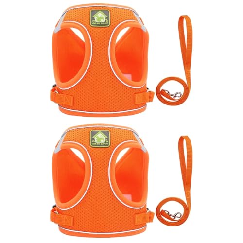 Beaupretty 2-teiliges Haustierwesten-Set Hundeleine Leicht Und Bequem Für Den Ganzen Tag von Beaupretty