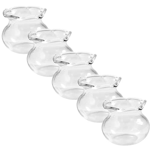 Beaupretty 5 Stück Teiliges Mini Glasfischbecken Transparentes Aquarium für Puppenhaus Kindgerechte Miniaturmodelle DIY Fischschale für Desktop Szenerien und Spieldekorationen von Beaupretty