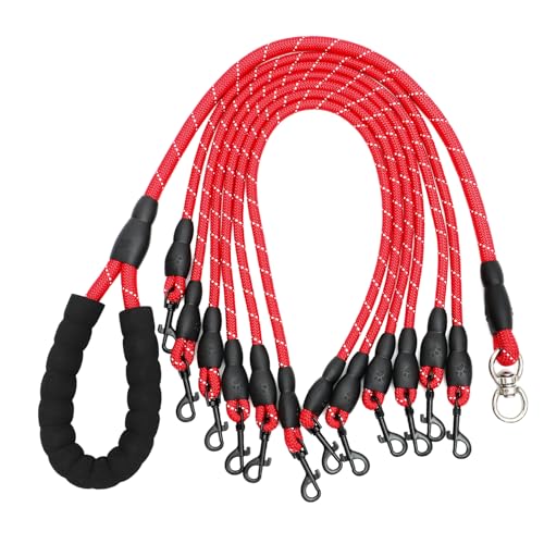 Beaupretty 6 Haustierleine Hundespaziergang Führt Zugseil Für Outdoor-Training Zugseil Für Welpen Trainingsleine Für Hunde Keine Leine Laufgürtel Für Hunde Haustierzubehör Perlmutt Nylon von Beaupretty