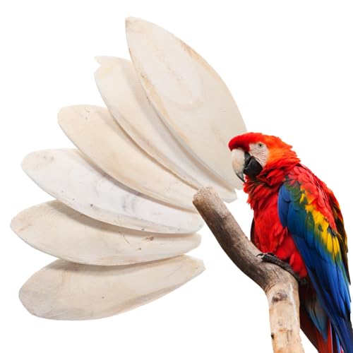Beaupretty 6stücke Naturknochen Für Vögel Kauspielzeug Aus Zubehör Für Große Vögel Sorgt Für Kalziumzufuhr Und Beakenschleifung Beaupretty 6stücke Naturknochen Für Vögel Kauspielzeug Aus Zubehör Für Große Vögel Sorgt Für Kalziumzufuhr Und Beakenschleifung von Beaupretty