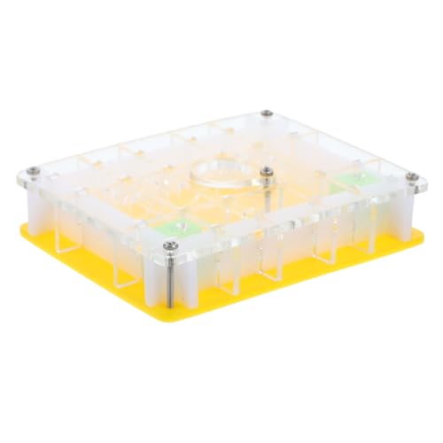 Beaupretty Acryl Ameisenkasten Ökologisches Zucht und Beobachtungsset für Insektenliebhaber Leicht und Tragbar für Schlafzimmer Küche oder Schreibtisch von Beaupretty