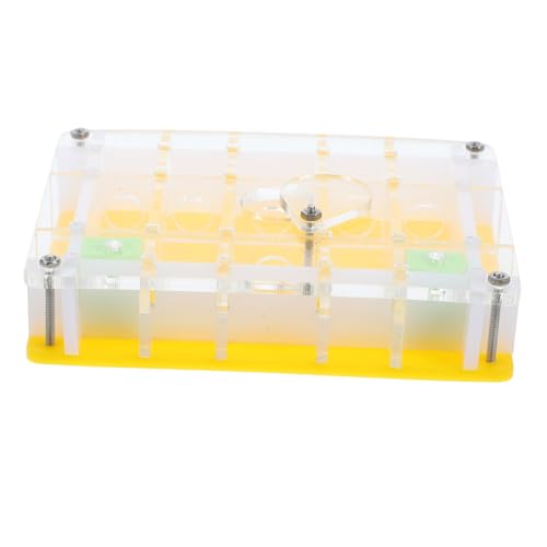 Beaupretty Acryl mit Sicherem Deckel Transparenter Beobachtungsbox für Haustier Ameisen Wissenschaftliches Experimentierspielzeug Leichtes Langlebiges und Lebensraumgehäuse von Beaupretty