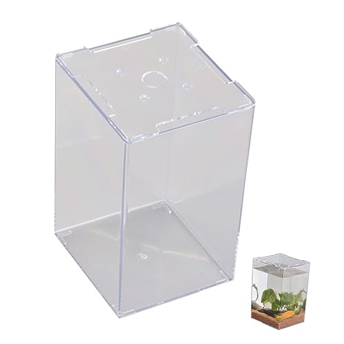 Beaupretty Mini Aquarium Für Betta-Fische Transparentes Langlebiges -fischbecken Für Schreibtisch Und Zuhause Fischbecken Für Dekoration Und Aquaristik Beaupretty Mini Aquarium Für Betta-Fische Transparentes Langlebiges -fischbecken Für Schreibtisch Und Zuhause Fischbecken Für Dekoration Und Aquaristik von Beaupretty
