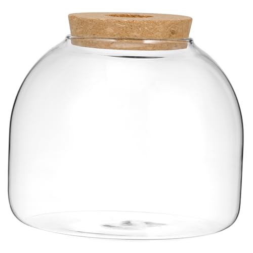 Beaupretty Flasche Aus Korkglas Glasterrarien Für Pflanzen Wasserpflanzgefäß Terrarium Bausatz Selber Machen Pflanzenbehälter Glas Blumen-Pflanzen-Terrarium Vase Mit Lichtern Holz Süssigkeit von Beaupretty