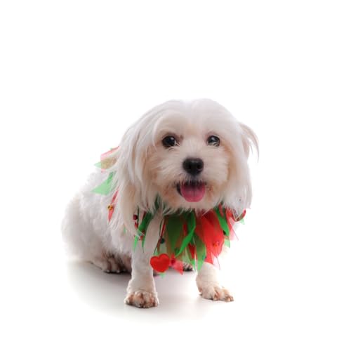 Beaupretty Individuelles Hundehalsband Mit Rundem Hals Weihnachtsdeko Festliches Katzenhalsband Größe S Weich Waschbar Zum Verkleiden Beaupretty Individuelles Hundehalsband Mit Rundem Hals Weihnachtsdeko Festliches Katzenhalsband Größe S Weich Waschbar Zum Verkleiden von Beaupretty
