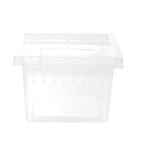 Beaupretty Kasten Aufzuchtbox Für Insekten Springterrarium Hülle Für Reptilien Terrarien Tarantelgehege Eidechse Terrarium Tarantula-Tank Eidechsen-Terrarium Käfig Plastik Shell-Tank Spinne von Beaupretty