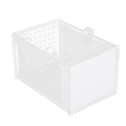 Beaupretty Kasten Praying Mantis Zuchtbox Futterbehälter für Spinnen zu Hause Reptilienterrarium Insektenzuchtbox Insektenzuchtbehälter Reptil zeigt Halter Insektenzucht Fall Acryl Weiß Beaupretty Kasten Praying Mantis Zuchtbox Futterbehälter für Spinnen zu Hause Reptilienterrarium Insektenzuchtbox Insektenzuchtbehälter Reptil zeigt Halter Insektenzucht Fall Acryl Weiß von Beaupretty