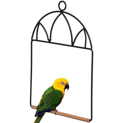 Beaupretty Tragbarer Vogelständer Vogelschaukelständer Vogel Stehender Stock Vogelschaukelbarsch Kolibri-sitzstangen Sitzstange Für Sittiche Papagei Gestreifter Barsch Hölzern Beaupretty Tragbarer Vogelständer Vogelschaukelständer Vogel Stehender Stock Vogelschaukelbarsch Kolibri-sitzstangen Sitzstange Für Sittiche Papagei Gestreifter Barsch Hölzern von Beaupretty