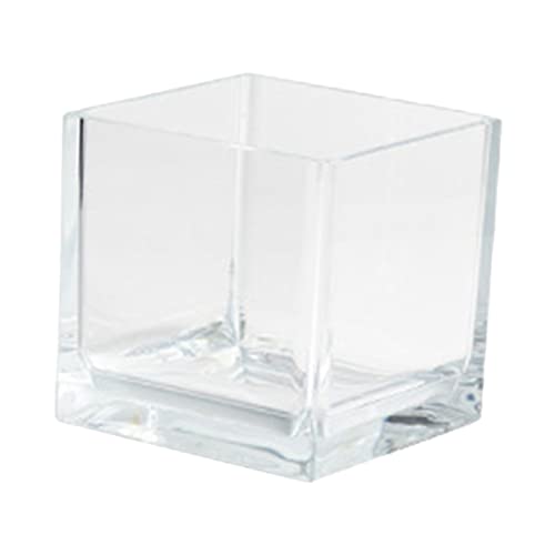 Beaupretty Mini-Aquarium mit Weißer Kleiner Schildkröte Stilvolles Schreibtisch- von Beaupretty