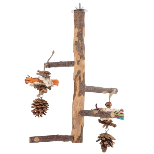 Beaupretty Papagei Barsch Spielzeug Vogel Spielzeug Stehen Für Papageien Sittiche Aras Finken Ziervögel Käfig Spielzeug Holz Beaupretty Papagei Barsch Spielzeug Vogel Spielzeug Stehen Für Papageien Sittiche Aras Finken Ziervögel Käfig Spielzeug Holz von Beaupretty