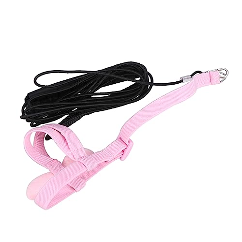 Beaupretty Papagei Geschirr Mit Zugseil Elastisches Flying Rope Für Vögel Sicheres Und Modisches Harness Mit Engel-flügeln Für Sittiche Und Papageien von Beaupretty
