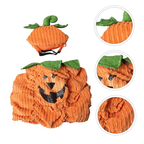 Beaupretty Warmer Halloween Haustierkostüm mit Kürbismotiv Komfortable für Kleine Hunde Atmungsaktiv und Leicht für Party Festival und Halloween Dekoration Beaupretty Warmer Halloween Haustierkostüm mit Kürbismotiv Komfortable für Kleine Hunde Atmungsaktiv und Leicht für Party Festival und Halloween Dekoration von Beaupretty