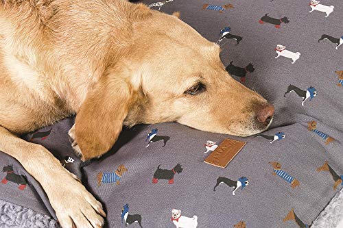 FatFace Flying Birds Bettdecke für Hunde/Welpen, superweich, nachhaltig, tief, Größe M, Blau/Blaugrün FatFace Flying Birds Bettdecke für Hunde/Welpen, superweich, nachhaltig, tief, Größe M, Blau/Blaugrün von Beauty Water
