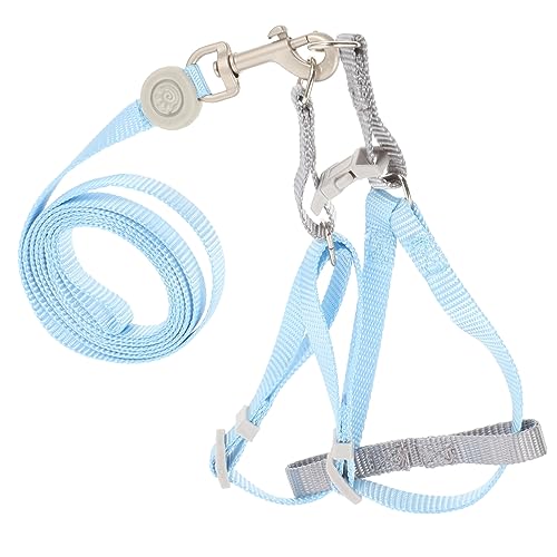 Beavorty Katze Und Leine Kätzchen-Set Flucht Verstellbar Perfekt Für Outdoor-Abenteuer Beavorty Katze Und Leine Kätzchen-Set Flucht Verstellbar Perfekt Für Outdoor-Abenteuer von Beavorty