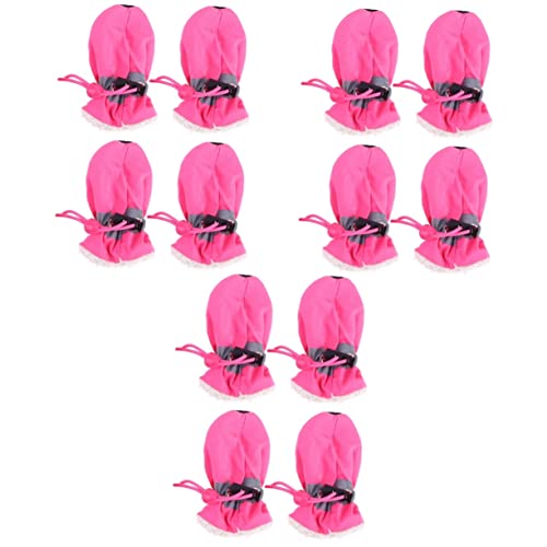 Beavorty 12-teiliges Set rutschfeste Schuhe Haustierschuhe Hund rutschfeste Sohle Schneestiefel Hundeschuhe Reflektierend rutschfeste Hundeschuhe Welpenschuhe Mittel Katzenschuhe Beavorty 12-teiliges Set rutschfeste Schuhe Haustierschuhe Hund rutschfeste Sohle Schneestiefel Hundeschuhe Reflektierend rutschfeste Hundeschuhe Welpenschuhe Mittel Katzenschuhe von Beavorty