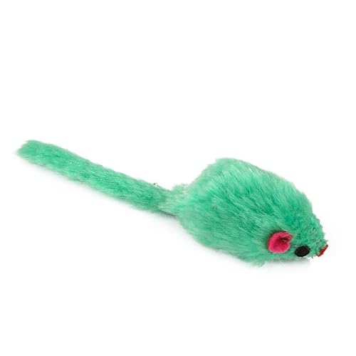 Beavorty 12 Stück Realistische Quietschende Plüschmaus Spielzeug für Katzen Bunt Lustig Sicher Zufällige Farbe Beavorty 12 Stück Realistische Quietschende Plüschmaus Spielzeug für Katzen Bunt Lustig Sicher Zufällige Farbe von Beavorty