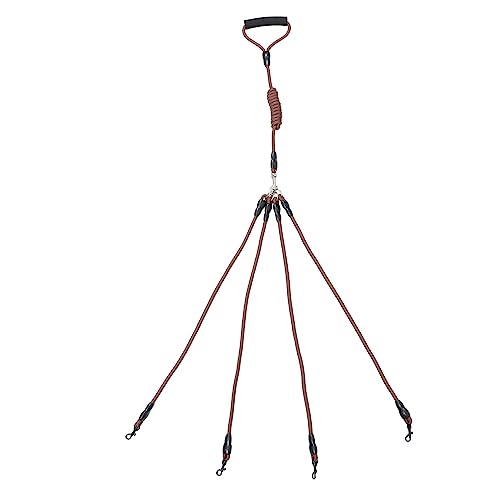 Beavorty Nylon Hund Gehen Leine 1 5 M Abnehmbare Vier Training Für Hunde Beißen Beavorty Nylon Hund Gehen Leine 1 5 M Abnehmbare Vier Training Für Hunde Beißen von Beavorty
