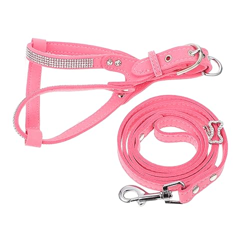 Beavorty 2 Sets Hundeleine Set Brustgurt Und Seil Haustier Für Welpen Traktion Sicheres Reisezubehör von Beavorty