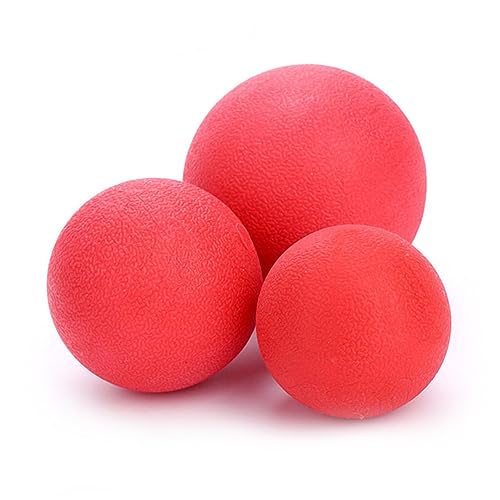 Beavorty Hüpfspielzeug Für Hunde in 3 Größen – Haustierspielzeug-Set Gummihund Kratzspielzeug Stärkung Der Bindung Beavorty Hüpfspielzeug Für Hunde in 3 Größen – Haustierspielzeug-Set Gummihund Kratzspielzeug Stärkung Der Bindung von Beavorty