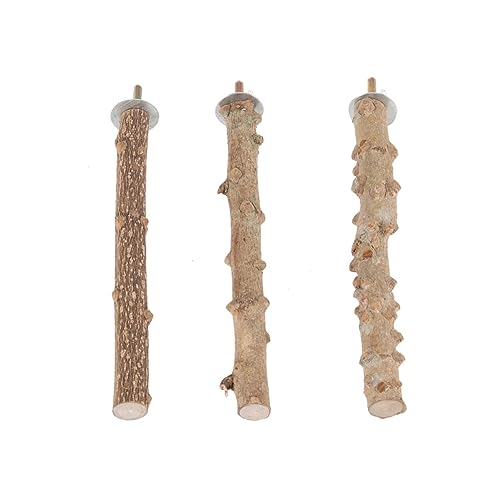 Beavorty 3st Nymphensittich-Spielzeug Papageienständer Papageienbarsch Barsch Stehen Spielzeug Für Sittiche Vogelspielplatz Vogel Stehen Schleifstab Backenzahn Protokoll Beavorty 3st Nymphensittich-Spielzeug Papageienständer Papageienbarsch Barsch Stehen Spielzeug Für Sittiche Vogelspielplatz Vogel Stehen Schleifstab Backenzahn Protokoll von Beavorty