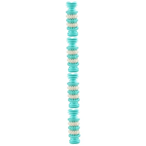 Beavorty 4 Stück Hundekauspielzeug Hundezahnspielzeug Hundespielzeug Für Den Innenbereich Robustes Spielzeug Für Hunde Hundespielzeug Haustierspielzeug Für Hunde Beavorty 4 Stück Hundekauspielzeug Hundezahnspielzeug Hundespielzeug Für Den Innenbereich Robustes Spielzeug Für Hunde Hundespielzeug Haustierspielzeug Für Hunde von Beavorty