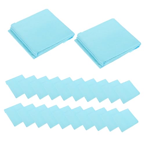 Beavorty 50 Stück Pee-Pads Für Das Training Von Haustieren Waschbare PIPI-Pads Kleine Welpenpads Kaninchen-PIPI-pad Pet Pinkelmatte Kleine Hunde-PIPI-unterlage Hündchen Vlies Der Hund von Beavorty