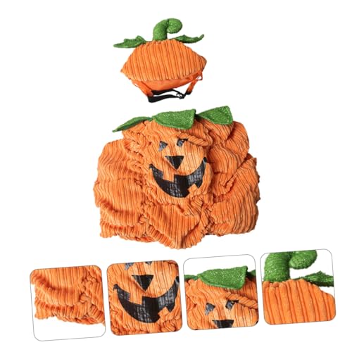 Beavorty Halloween Haustierkostüm Kürbis mit Verstellbarem Hut und Warmer Kleidung Halloween Party Kostüm für Kleine und Mittlere Hunde Langlebig und Leicht Festliche Verkleidung Beavorty Halloween Haustierkostüm Kürbis mit Verstellbarem Hut und Warmer Kleidung Halloween Party Kostüm für Kleine und Mittlere Hunde Langlebig und Leicht Festliche Verkleidung von Beavorty
