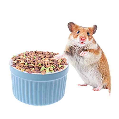 Beavorty Gesunder Futternapf für Haustiere Keramik-hamsternapf Rund Beavorty Gesunder Futternapf für Haustiere Keramik-hamsternapf Rund von Beavorty