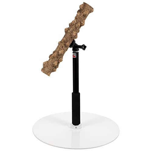 Beavorty Papageien-sitzstange Vogel-spielständer Höhenverstellbar für Papageien Stabile Basis Sicher für Vögel Beavorty Papageien-sitzstange Vogel-spielständer Höhenverstellbar für Papageien Stabile Basis Sicher für Vögel von Beavorty