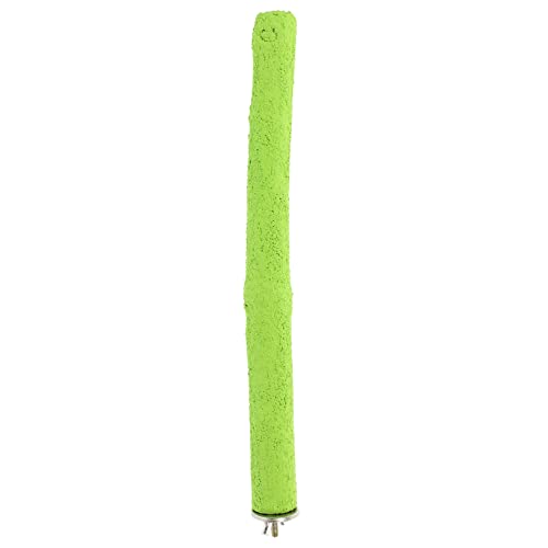 Beavorty Bird Perch Stand Für Käfige Holzspielzeug Zur Krallenpflege Für Papageien Nymphensittiche Und Andere Vögel Höhe Für Vogelhaltung Beavorty Bird Perch Stand Für Käfige Holzspielzeug Zur Krallenpflege Für Papageien Nymphensittiche Und Andere Vögel Höhe Für Vogelhaltung von Beavorty