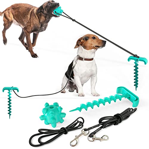 Beavorty Set Robuste Leine Hundeleine Hundekopf Kordelzug Nylon Erdungskabel Hundesport Hundepfahl Zum Anbinden Kabel Für Hundewelpen Großer Hund Outdoor Campingpfahl Spielset von Beavorty