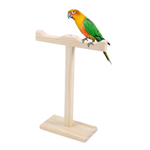 Beavorty Papagei Spielzeug Set Stehen Vögel Käfig Zubehör 24x 19 5 X8cm Sicher Papagei Spielzeug Beavorty Papagei Spielzeug Set Stehen Vögel Käfig Zubehör 24x 19 5 X8cm Sicher Papagei Spielzeug von Beavorty