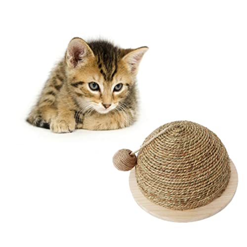 Beavorty Lustiges Katzenspielzeug Klettergerüst Kratzbrett Haustierunterhaltung Entwickeln Sie Die Kratzgewohnheit Beavorty Lustiges Katzenspielzeug Klettergerüst Kratzbrett Haustierunterhaltung Entwickeln Sie Die Kratzgewohnheit von Beavorty