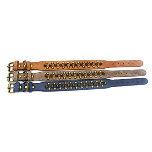 Beavorty Haustierhalsband Hundehalsband Mit Nieten Runder Nagel Personalisiertes Design Größe Xs Für Modisches Haustier von Beavorty