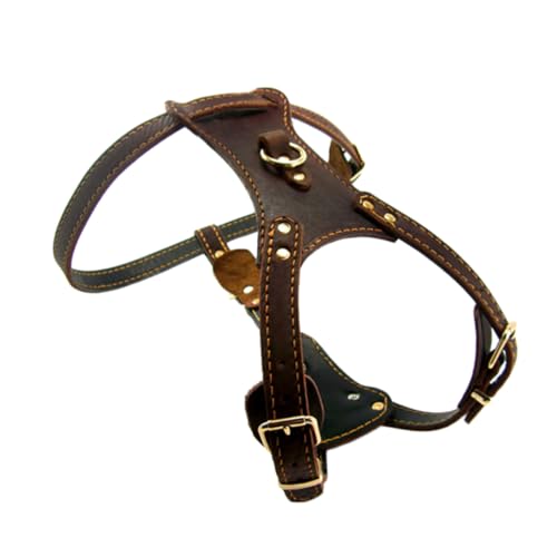 Beavorty Stilvolles Haustierhalsband Großer Brustgurt Verstellbar Für Mittelgroße Und Große Hunde Material Modisches Hundezubehör Sicher Bequem von Beavorty