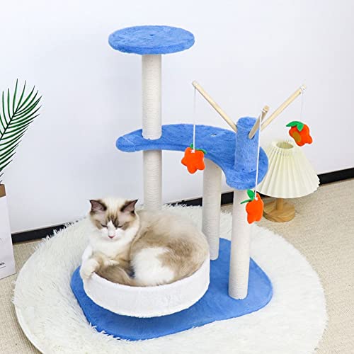 BebeXi katzenbaum klein Kratzbaum mit Kratz-Aktivitätszentrum, mit Zwinger und Katzenplattform, Höhe 63 cm, blau BebeXi katzenbaum klein Kratzbaum mit Kratz-Aktivitätszentrum, mit Zwinger und Katzenplattform, Höhe 63 cm, blau von BebeXi